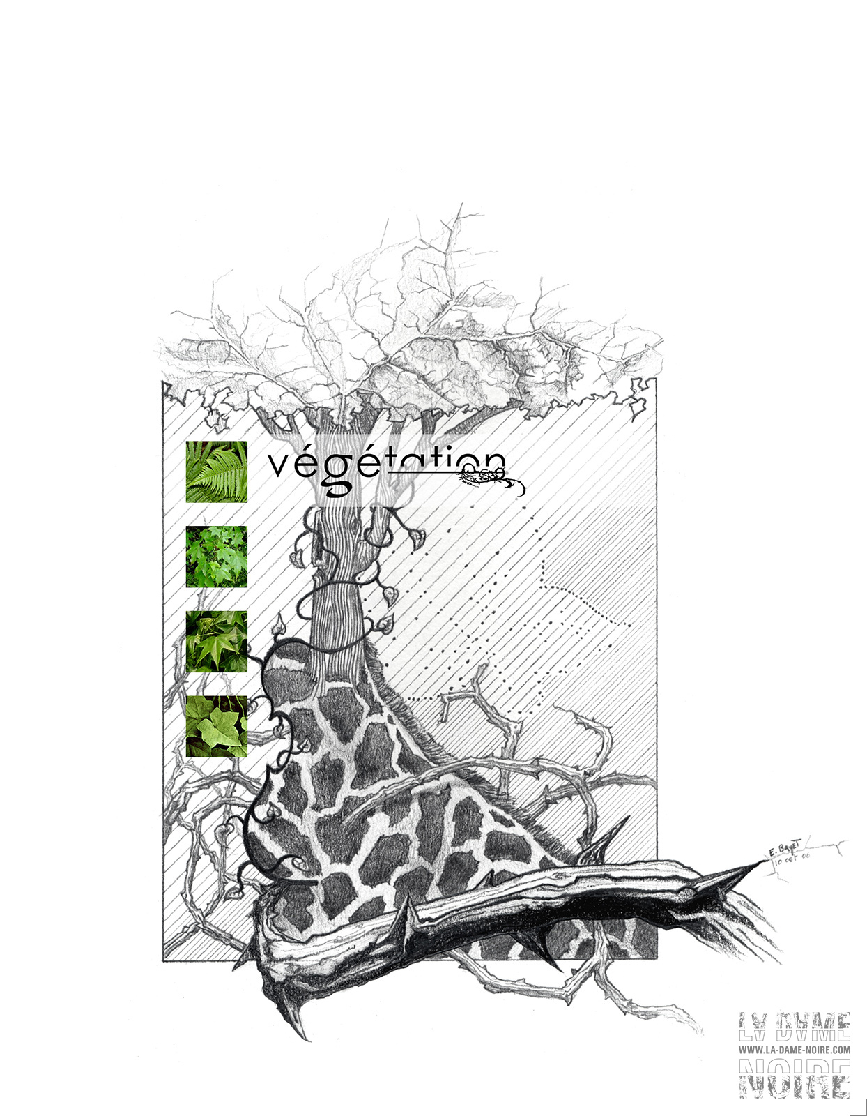 Illustration with vegetal and animal textures